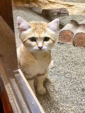 那須どうぶつ王国に投稿された画像（2024/10/26）