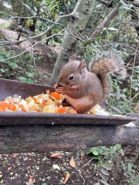 那須どうぶつ王国に投稿された画像（2024/10/26）