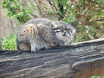 那須どうぶつ王国に投稿された画像（2024/10/26）