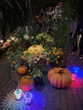 横浜イングリッシュガーデンに投稿された画像（2024/10/26）