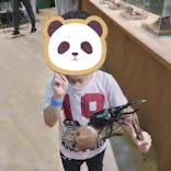 淡路ファームパーク イングランドの丘に投稿された画像（2024/10/26）