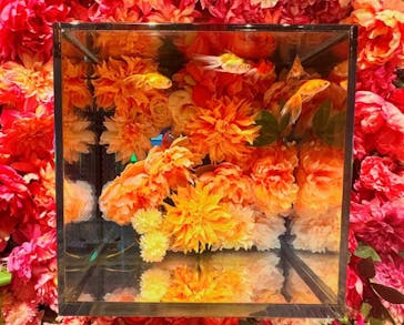 NARA KINGYO MUSEUMに投稿された画像（2024/10/26）