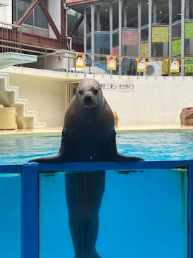 伊豆・三津シーパラダイスに投稿された画像（2024/10/26）