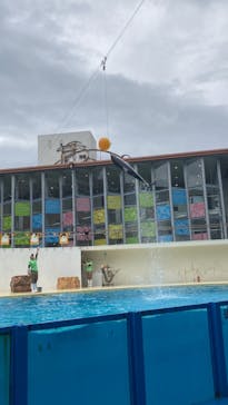 伊豆・三津シーパラダイスに投稿された画像（2024/10/26）