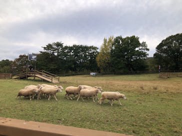 那須どうぶつ王国に投稿された画像（2024/10/26）