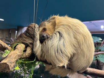 那須どうぶつ王国に投稿された画像（2024/10/26）