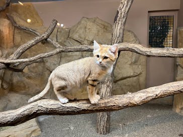 那須どうぶつ王国に投稿された画像（2024/10/26）