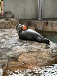 しながわ水族館に投稿された画像（2024/10/27）