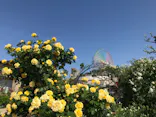 ひらかたパークに投稿された画像（2024/10/27）