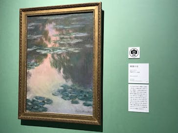 モネ　連作の情景に投稿された画像（2024/10/26）