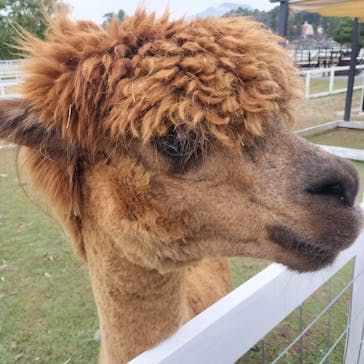 滋賀農業公園ブルーメの丘に投稿された画像（2024/10/26）