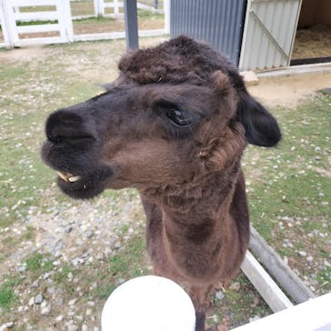 滋賀農業公園ブルーメの丘に投稿された画像（2024/10/26）