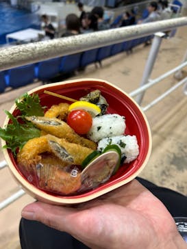 アクアワールド茨城県大洗水族館に投稿された画像（2024/10/26）