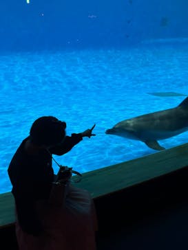 アクアワールド茨城県大洗水族館に投稿された画像（2024/10/26）