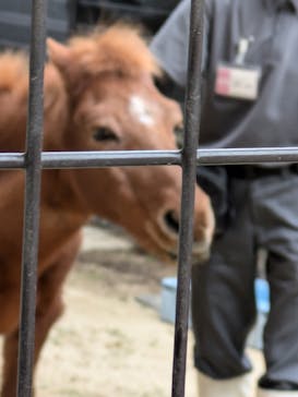 天王寺動物園に投稿された画像（2024/10/26）
