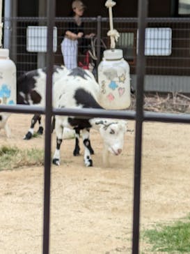 天王寺動物園に投稿された画像（2024/10/26）