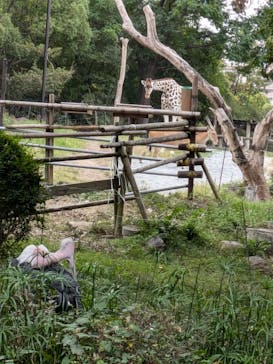 天王寺動物園に投稿された画像（2024/10/26）