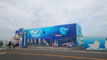 越前松島水族館に投稿された画像（2024/10/26）