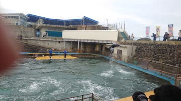 越前松島水族館に投稿された画像（2024/10/26）