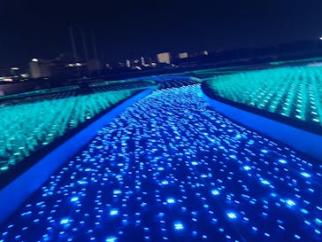 東京メガイルミに投稿された画像（2024/10/27）