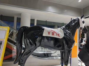 東京メガイルミに投稿された画像（2024/10/27）