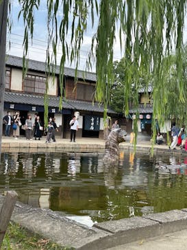 東映太秦映画村に投稿された画像（2024/10/27）