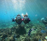 沖縄マリンサービス碧に投稿された画像（2024/10/27）