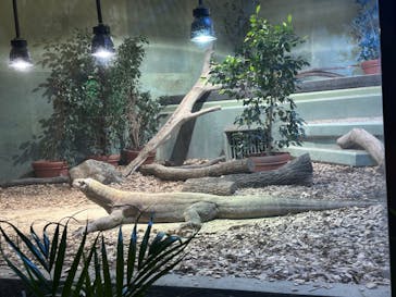 名古屋市東山動植物園に投稿された画像（2024/10/27）