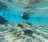 宮古島 ADVENTURE PiPi（ミヤコジマ アドベンチャー ピピ）に投稿された画像（2024/10/27）