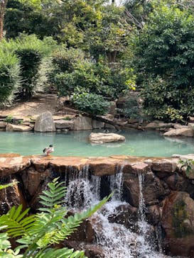 天王寺動物園に投稿された画像（2024/10/27）