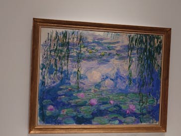 モネ 睡蓮のとき（国立西洋美術館）に投稿された画像（2024/10/27）