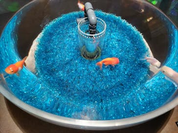 AQUARIUM × ART　atoaに投稿された画像（2024/10/27）