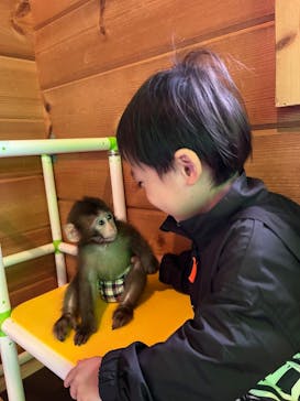 おさるランド＆アニタウン　日光さる軍団劇場に投稿された画像（2024/10/27）