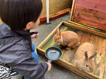 おさるランド＆アニタウン　日光さる軍団劇場に投稿された画像（2024/10/27）