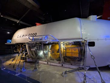 新江ノ島水族館に投稿された画像（2024/10/27）