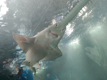 マクセル アクアパーク品川に投稿された画像（2024/10/27）