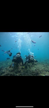 武藤潜水に投稿された画像（2024/10/27）