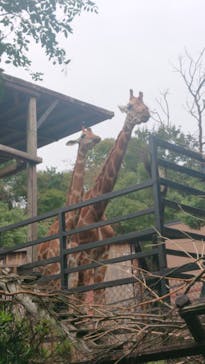 長崎バイオパークに投稿された画像（2024/10/27）