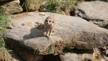 長崎バイオパークに投稿された画像（2024/10/27）