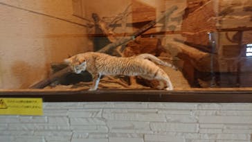 長崎バイオパークに投稿された画像（2024/10/27）