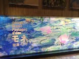 モネ 睡蓮のとき（国立西洋美術館）に投稿された画像（2024/10/27）