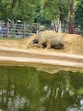 恩賜上野動物園に投稿された画像（2024/10/27）