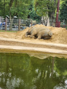 恩賜上野動物園に投稿された画像（2024/10/27）