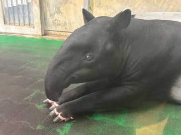 多摩動物公園に投稿された画像（2024/10/27）