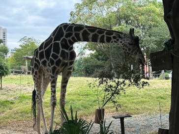 天王寺動物園に投稿された画像（2024/10/27）
