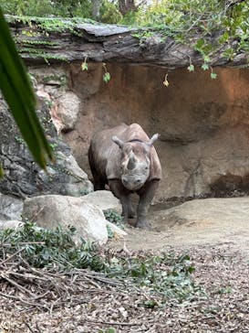 天王寺動物園に投稿された画像（2024/10/27）