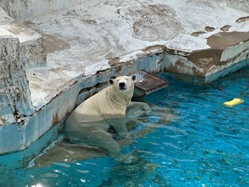 天王寺動物園に投稿された画像（2024/10/27）