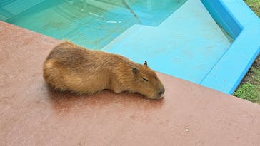 竹島水族館に投稿された画像（2024/10/27）