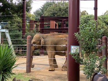恩賜上野動物園に投稿された画像（2024/10/27）