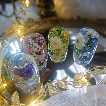 N’s gardenに投稿された画像（2024/10/27）